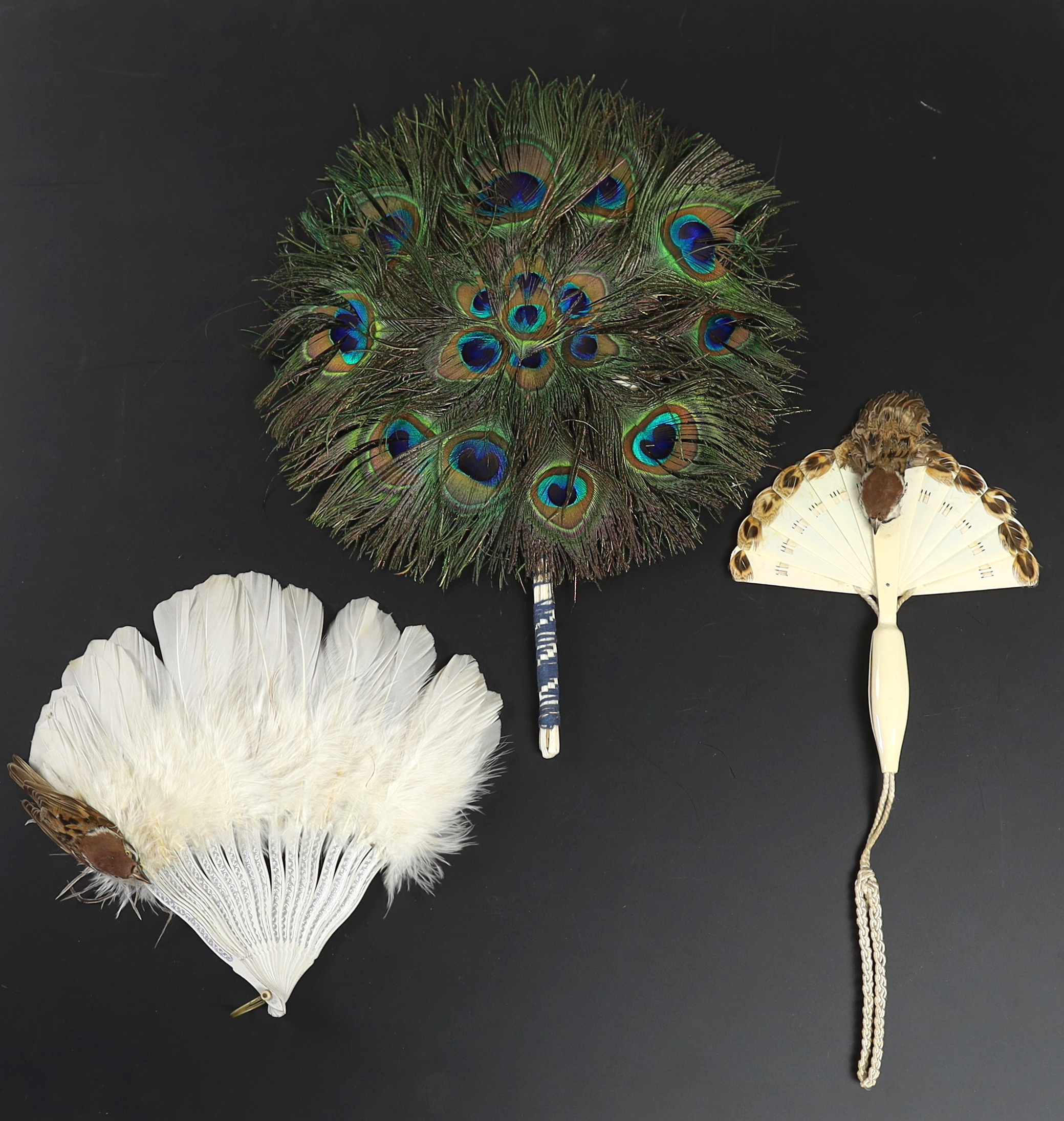 Two Edwardian early 1920’s feather fans with unusual bird decoration together with a peacock fan, one with cream Bakelite handle and guards, feather leaf and bird decoration, the other with silver painted guards, feather